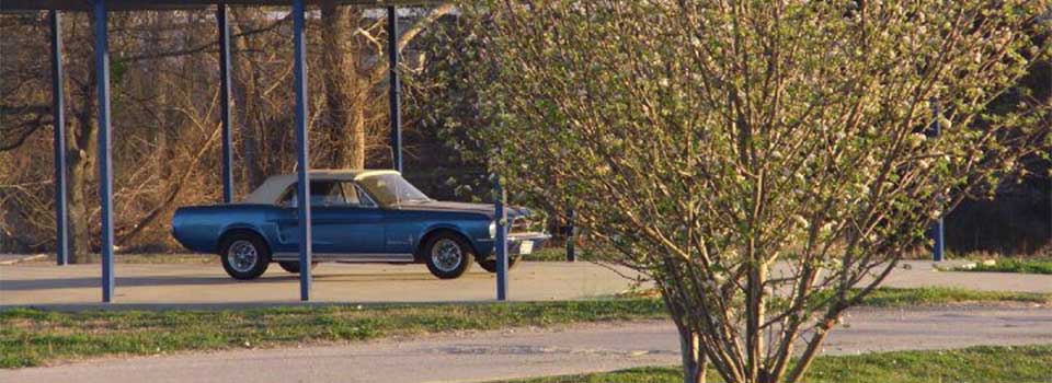 The Mustang Plumbing Mascot